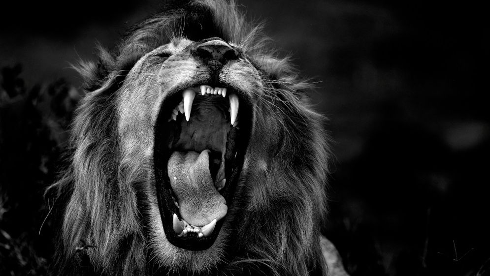 România în recesiune? Economiștii CFA văd inflația scăzând încet, leul slăbește, iar deficitul bugetar se urcă la 8,6%