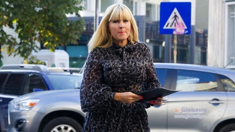 Deputatii din Comisia juridica au avizat solicitarea DNA in cazul urmaririi penale a Elenei Udrea