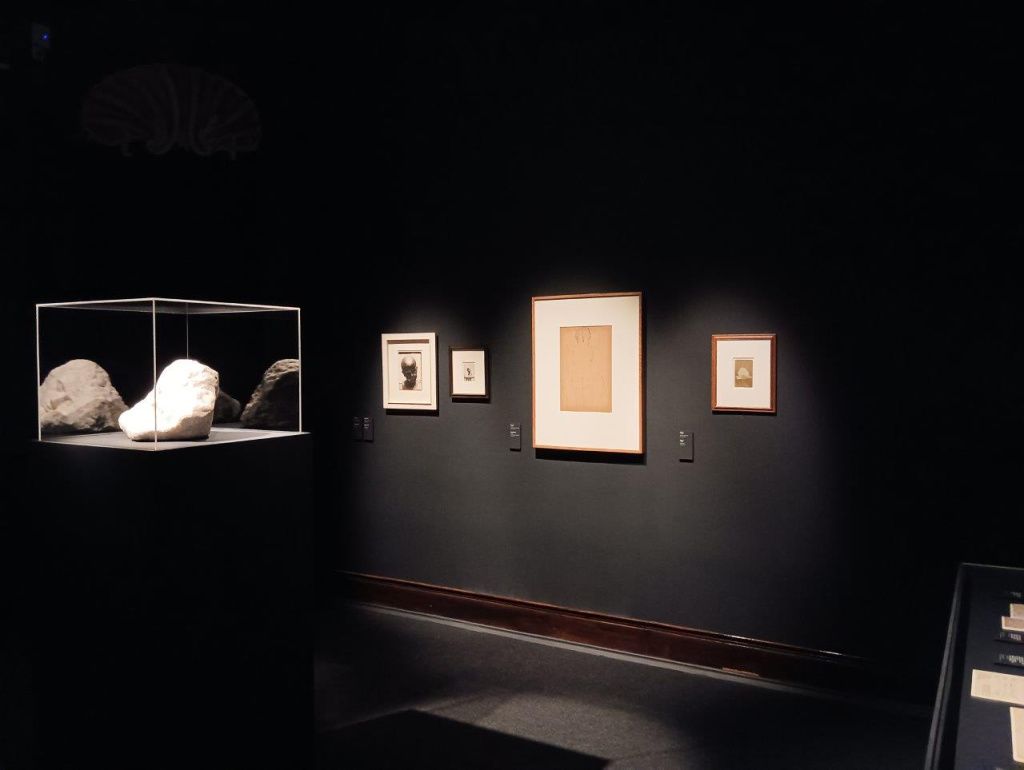 Expoziția Brâncuși de la Timișoara: capodoperele, în vizită în patria părintelui lor - Imagine 32