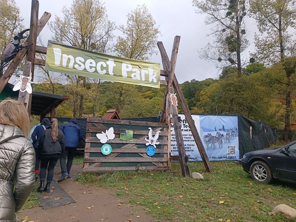 GALERIE FOTO: Parcul Mini Transilvania sau cum să faci un tur în Ardeal în mai puțin de o oră - Imagine 18