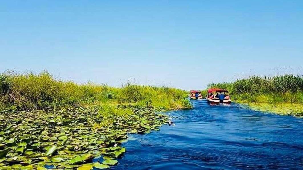 Probabil Bulete, Rezervația Delta Dunării: Puțin probabil ca braconajul să ...