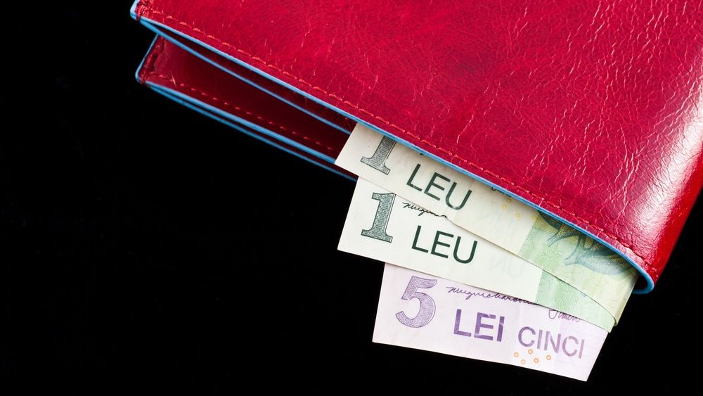 Oferta de obligatiuni a Elefant Online s-a incheiat cu succes. Compania a atras mai multi bani decat planuia si va plati o dobanda de 9%