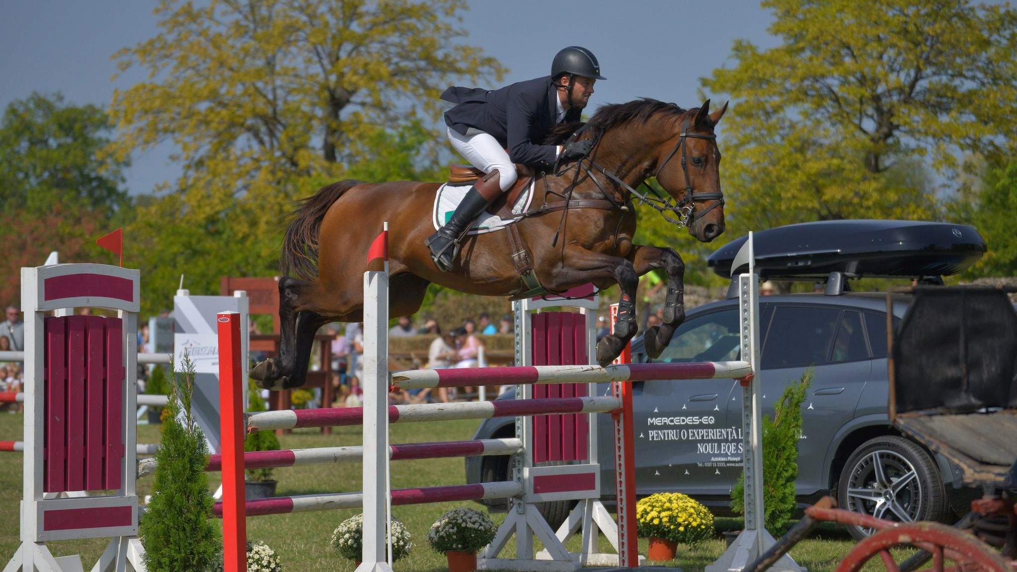 Karpatia Horse Show 2025, un deceniu de echitație pe Domeniul Cantacuzino Florești din Prahova