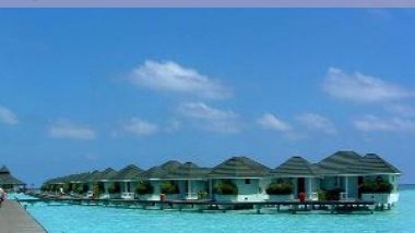 Vacante de vis, in destinatii exotice