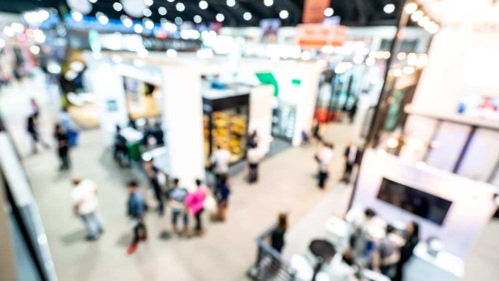 Specializarile de nisa, o noua tendinta in educatie. Care sunt cele mai cautate domenii