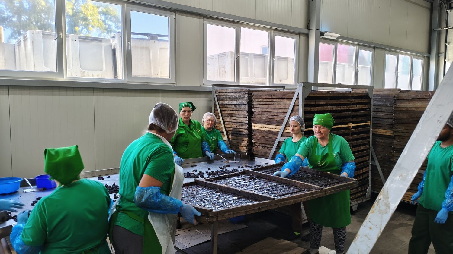 [FOTO] În fabrica furnizorului de fructe uscate care vinde prin Kaufland, Lidl și Selgros. Hale abandonate transformate într-o afacere de familie moldovenească - Poza 7