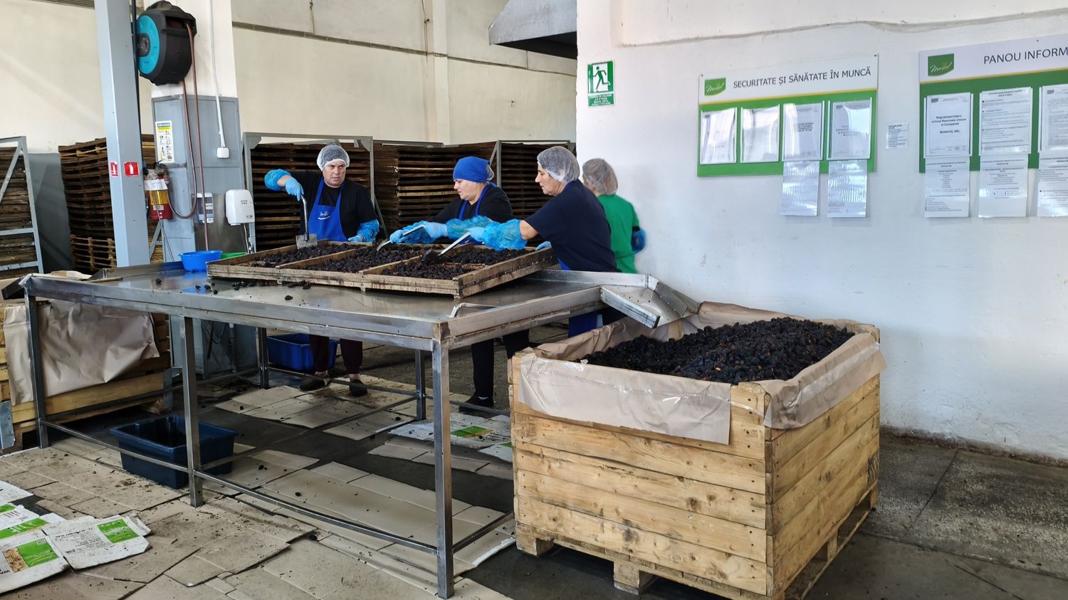 [FOTO] În fabrica furnizorului de fructe uscate care vinde prin Kaufland, Lidl și Selgros. Hale abandonate transformate într-o afacere de familie moldovenească - Poza 13