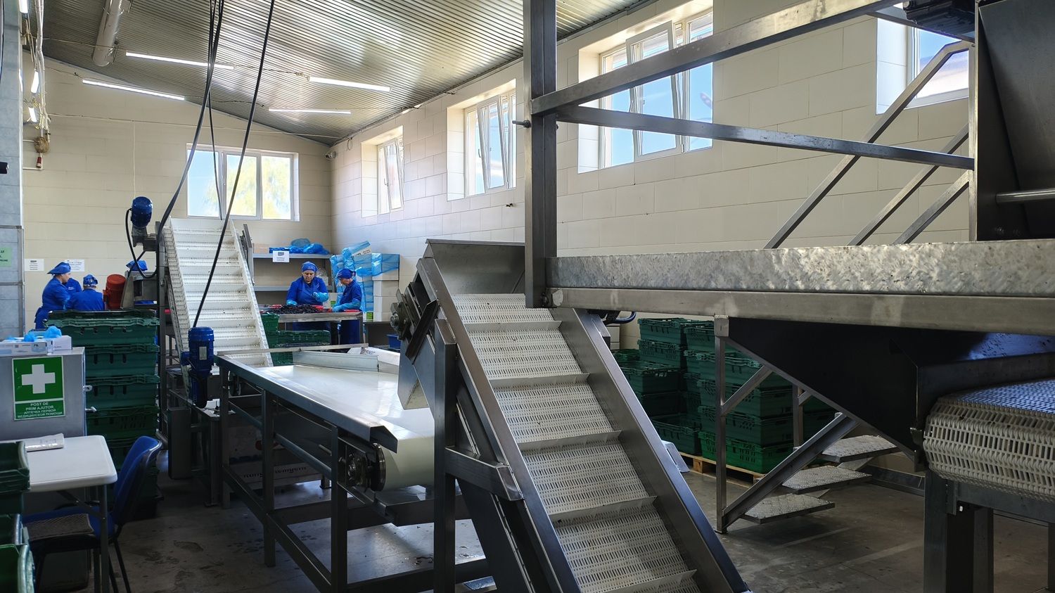 [FOTO] În fabrica furnizorului de fructe uscate care vinde prin Kaufland, Lidl și Selgros. Hale abandonate transformate într-o afacere de familie moldovenească - Poza 15
