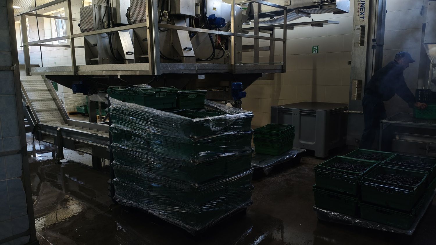 [FOTO] În fabrica furnizorului de fructe uscate care vinde prin Kaufland, Lidl și Selgros. Hale abandonate transformate într-o afacere de familie moldovenească - Poza 17