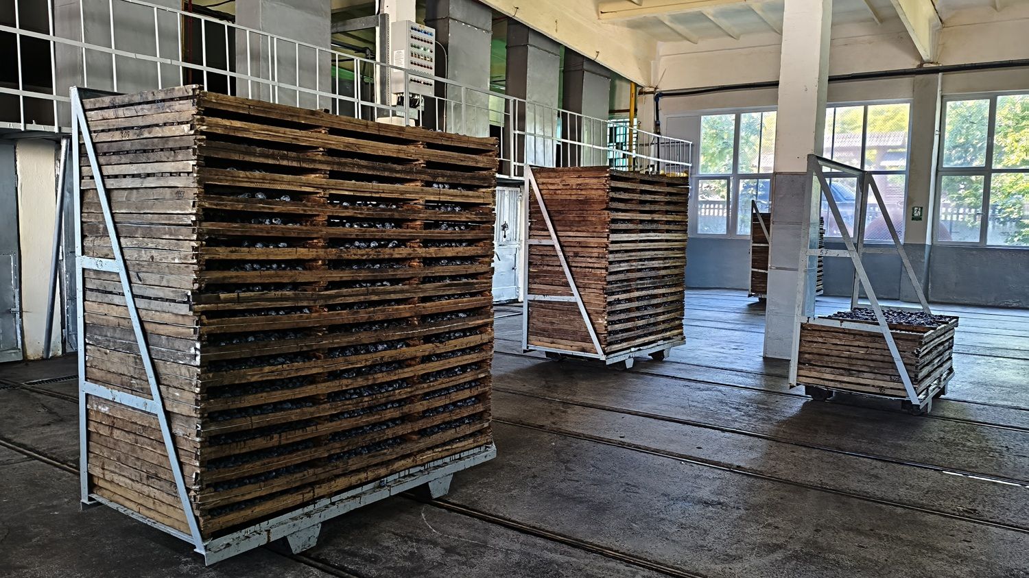 [FOTO] În fabrica furnizorului de fructe uscate care vinde prin Kaufland, Lidl și Selgros. Hale abandonate transformate într-o afacere de familie moldovenească - Poza 18