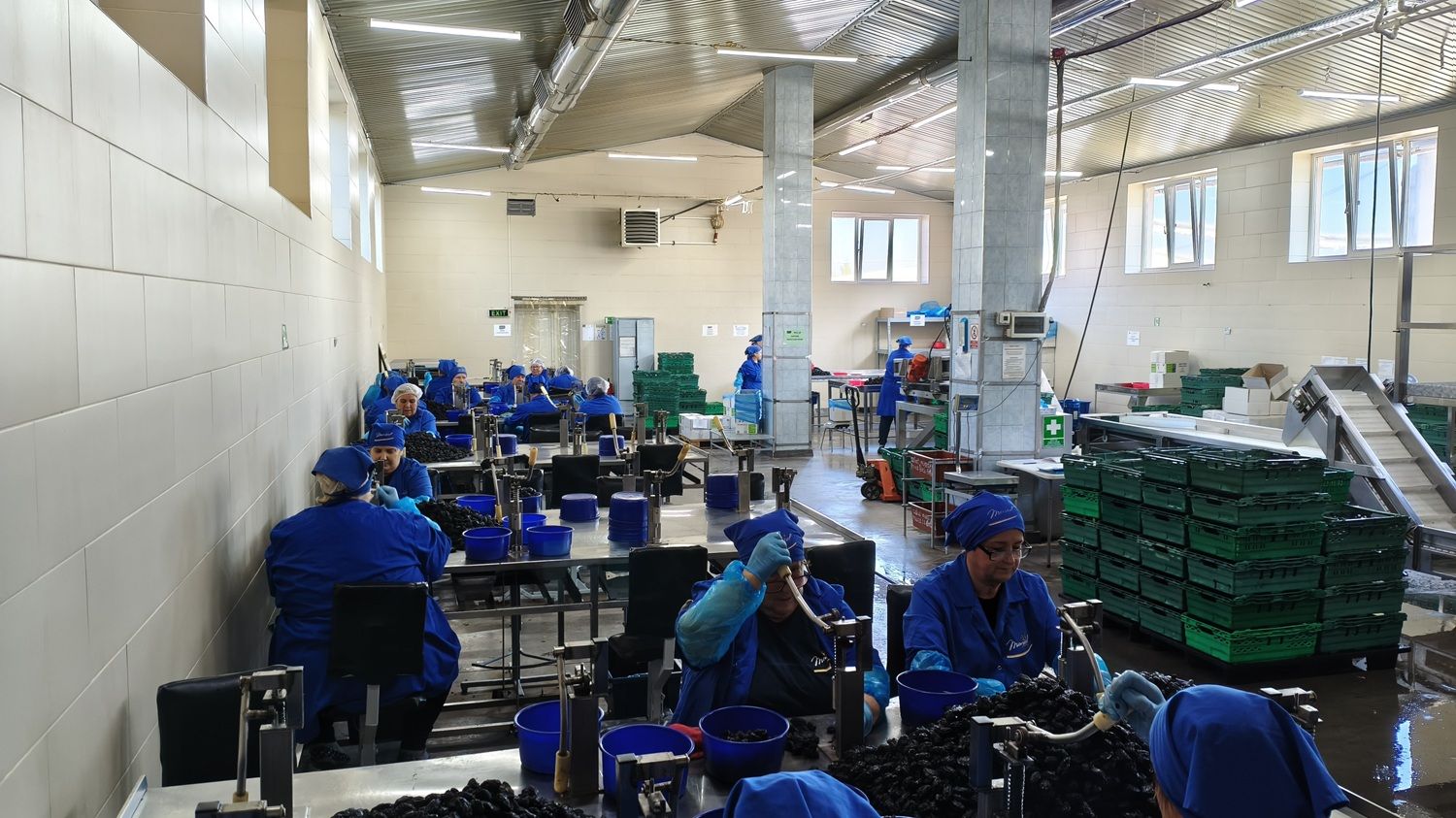 [FOTO] În fabrica furnizorului de fructe uscate care vinde prin Kaufland, Lidl și Selgros. Hale abandonate transformate într-o afacere de familie moldovenească - Poza 21