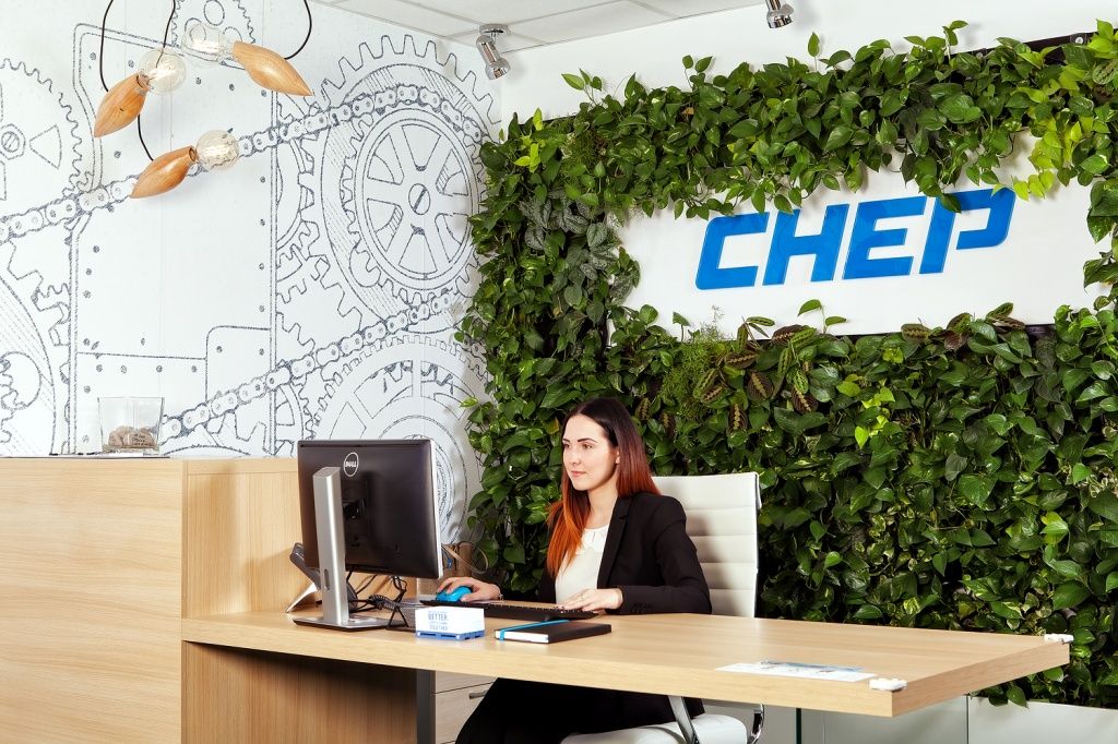 Birou de companie - CHEP Romania - Imagine 2
