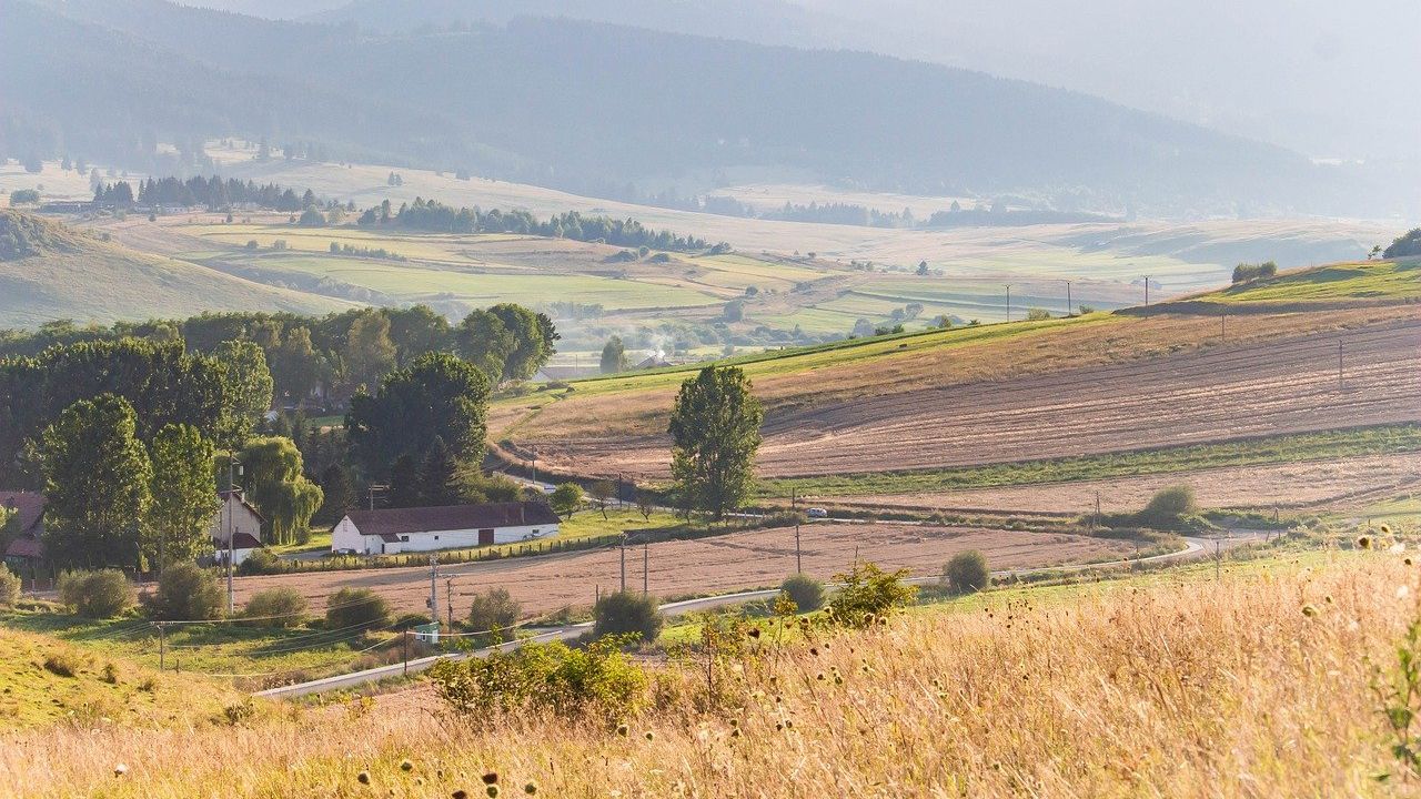 Alegeri locale 2020: 96 de alegători și un candiat unic într-o comună din Hunedoara