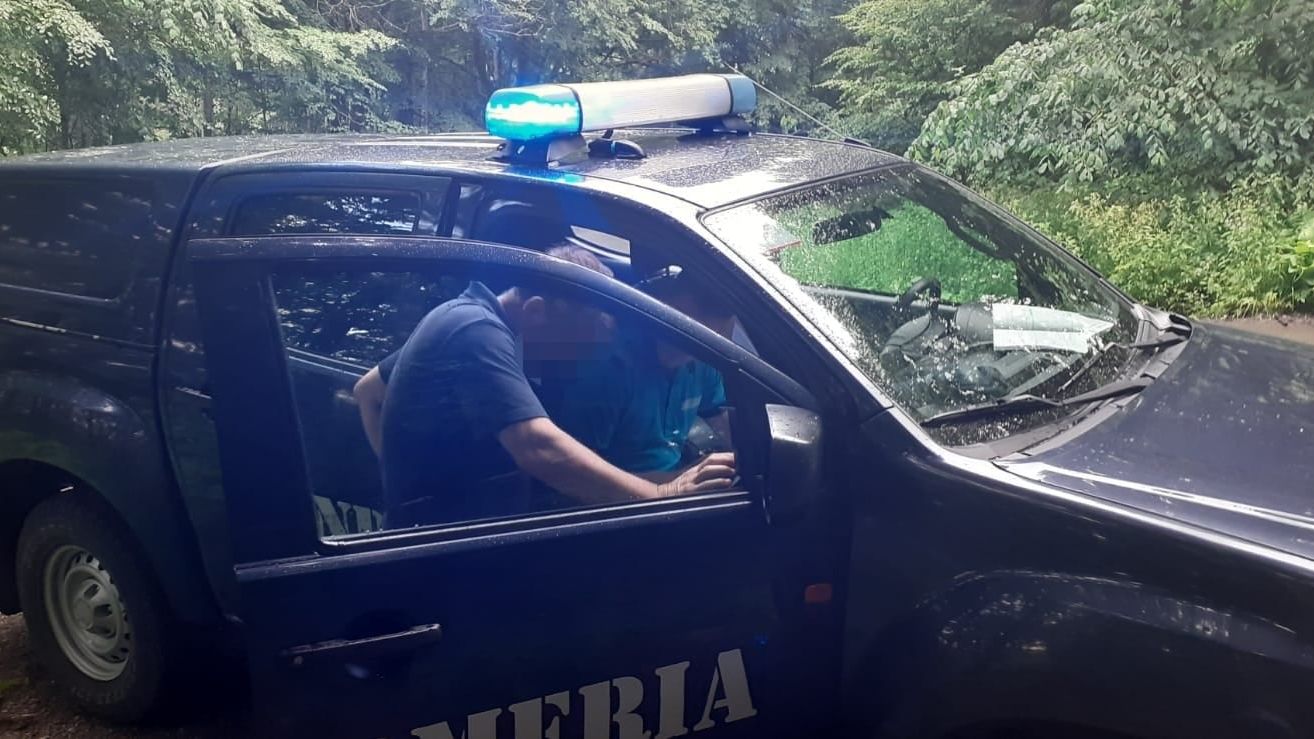 Un turist a fost amendat de jandarmi pentru că a hrănit un urs, în Sinaia