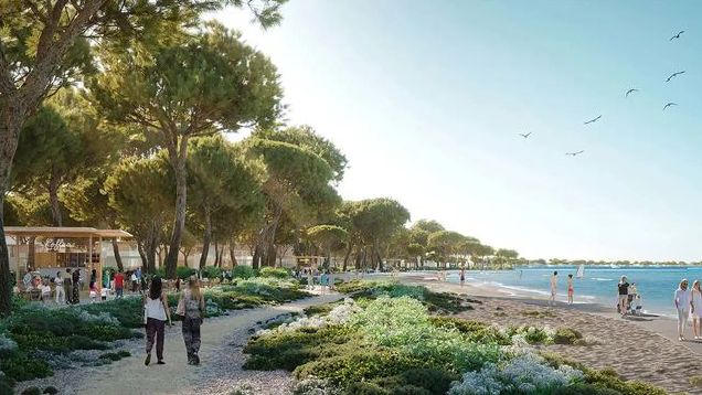 Diana Buzoianu le arată patronilor cum să-și construiască corect terase pe plajă.&nbsp;Primul ghid de construcție pe litoral