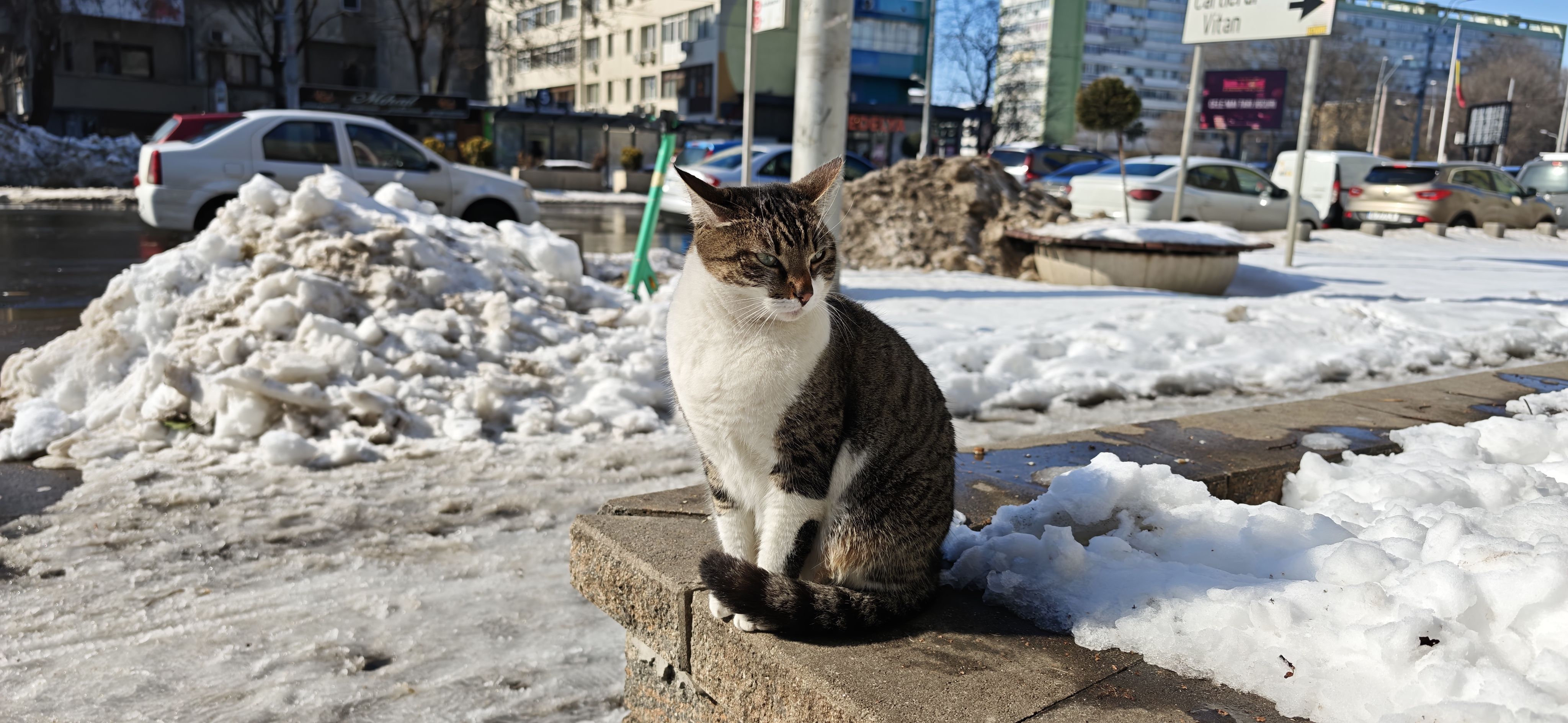 Review Xiaomi 17 Ultra: Când hardware-ul dictează fotografia, nu algoritmul - Poza 13