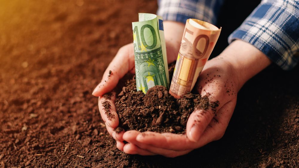 Este agricultura o afacere de viitor pentru tinerii din România? Fermier: Da, dar e nevoie de școli specializate