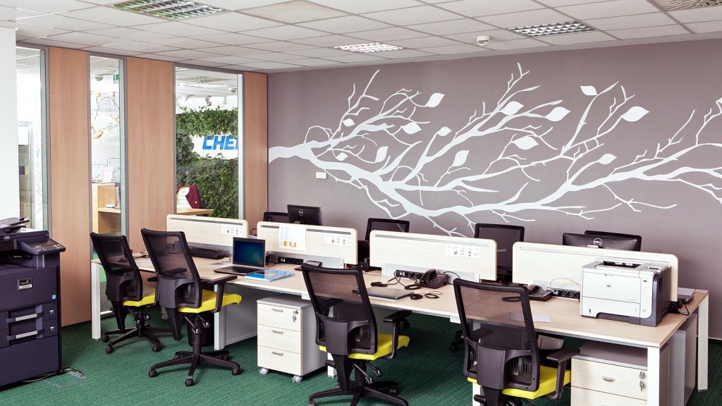 Birou de companie - CHEP Romania - Imagine 8