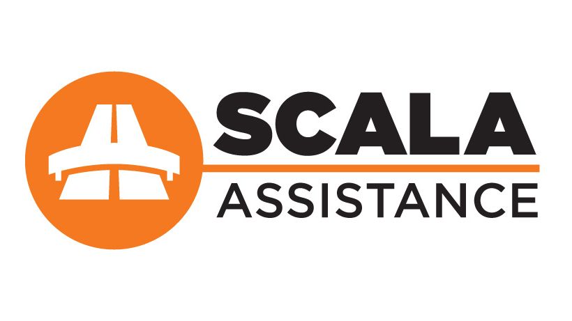 (P) De la pionierat la maturitate: Scala Assistance, compania care a introdus conceptul vanzarii de roviniete online