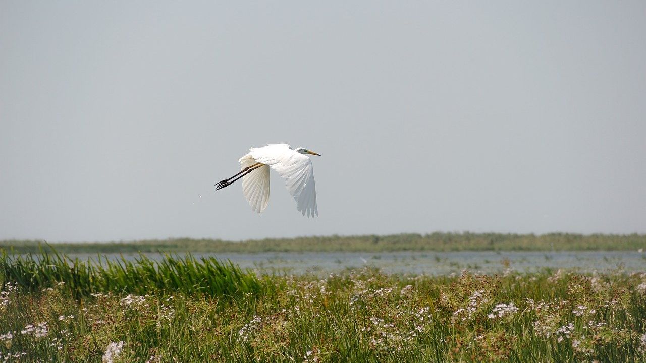 România deschide porțile turismului intern. Ce poate fi vizitat cu maximum 100 de lei