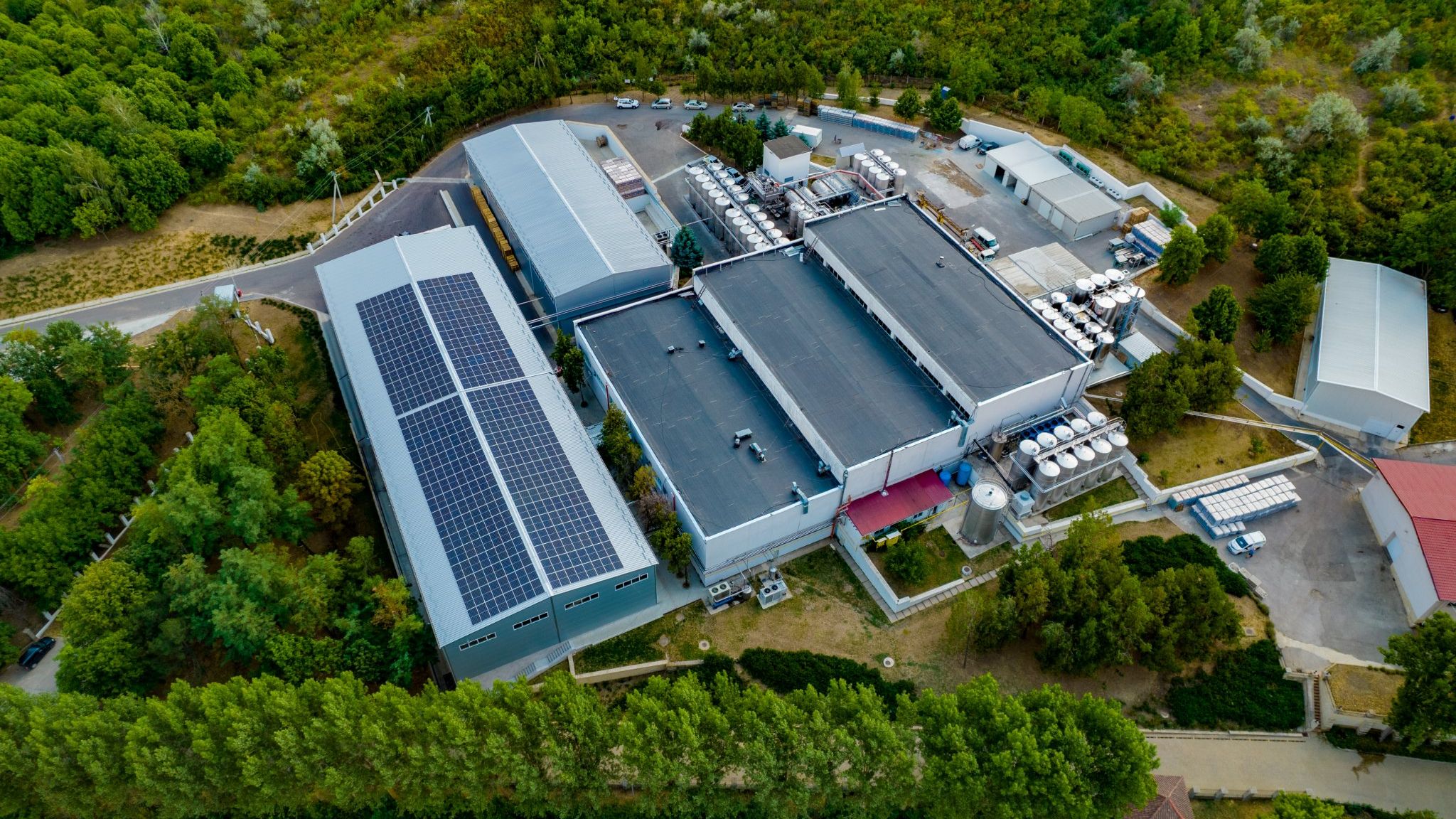 Vin fotovoltaic. Purcari vrea ca 80% din consumul său să fie asigurat de panouri solare