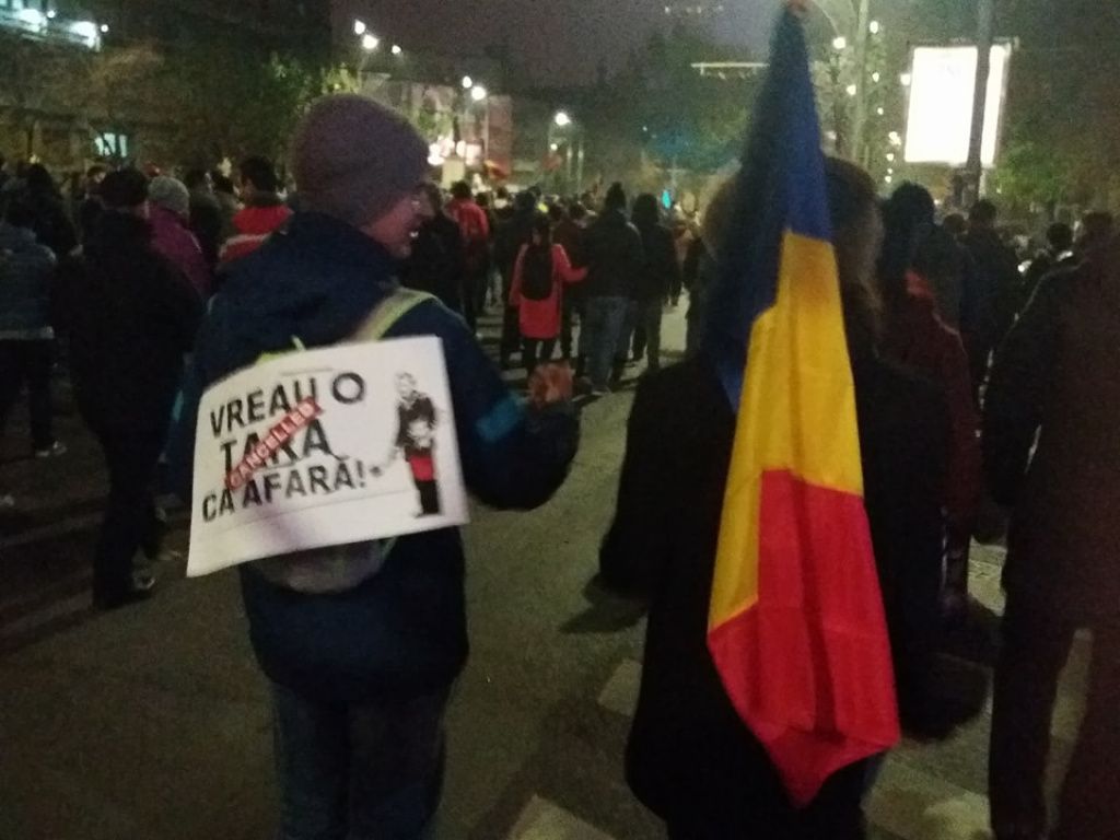 Proteste la Piata Victoriei - Imagine 14