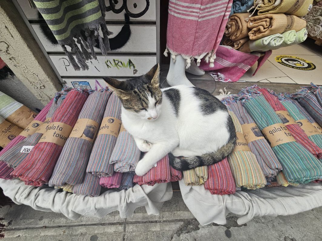 [FOTO] Istanbulul dincolo de clișee: O incursiune în lumea artei contemporane și a experiențelor neașteptate - Poza 30