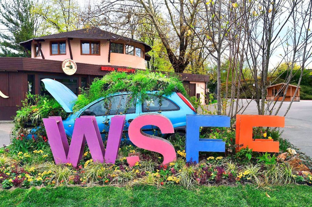 FOTO | Florile care spun povești: Ce poți vedea și când începe West Side Flower Fest - Imagine 14