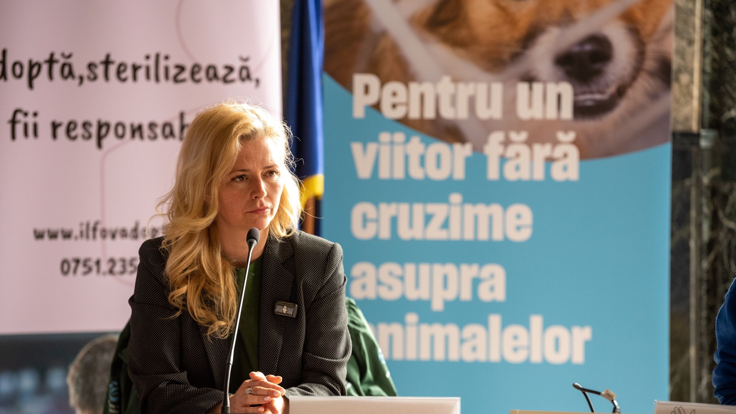 De ce ar trebui să te intereseze de unde vine carnea de pui pe care o mănânci. 96% dintre păsări provin din sisteme intensive, doar 4% au acces afară sau sunt crescute ecologic