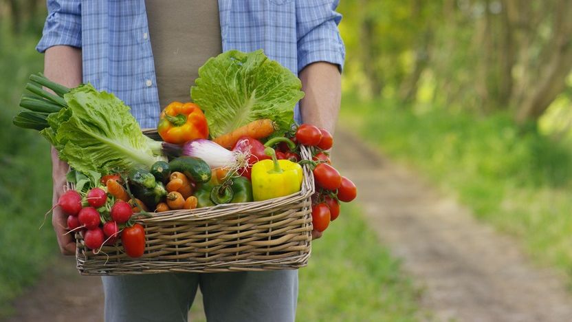 Poate România să atingă obiectivele impuse de UE pentru agricultura ecologică? MADR: Sunt ținte foarte ambițioase