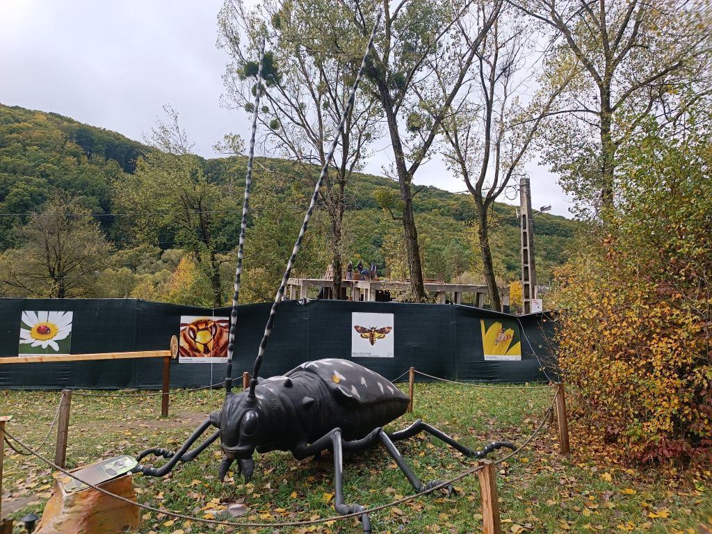 GALERIE FOTO: Parcul Mini Transilvania sau cum să faci un tur în Ardeal în mai puțin de o oră - Imagine 23