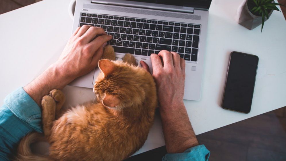 Numărul de joburi remote puse la bătaie de angajatori a ajuns la cel mai scăzut nivel din ultimii trei ani