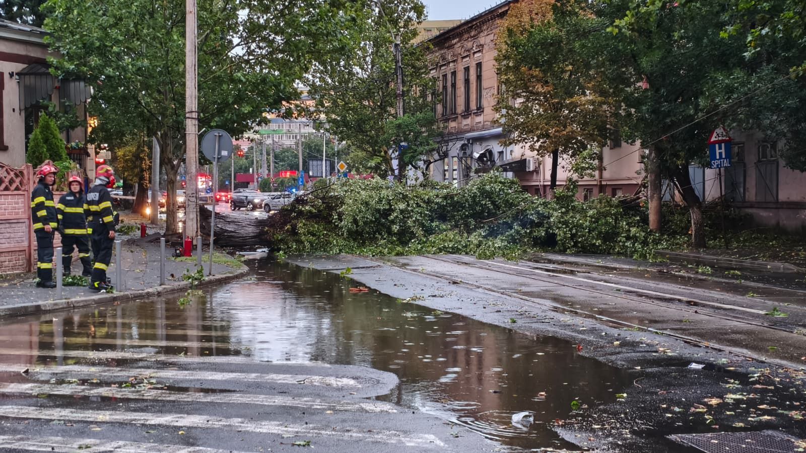Avertizare nowcasting: Furtună în București. Un bărbat din Ilfov a decedat după prăbușirea unui copac