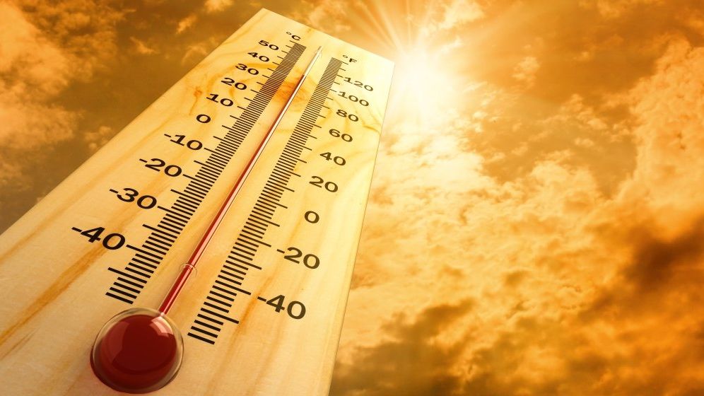 STUDIU: 2020 ar putea fi cel mai cald an înregistrat vreodată