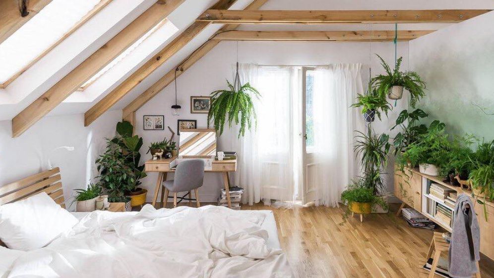 Retailerul de mobilă Scandinavian Design House a lansat magazin online