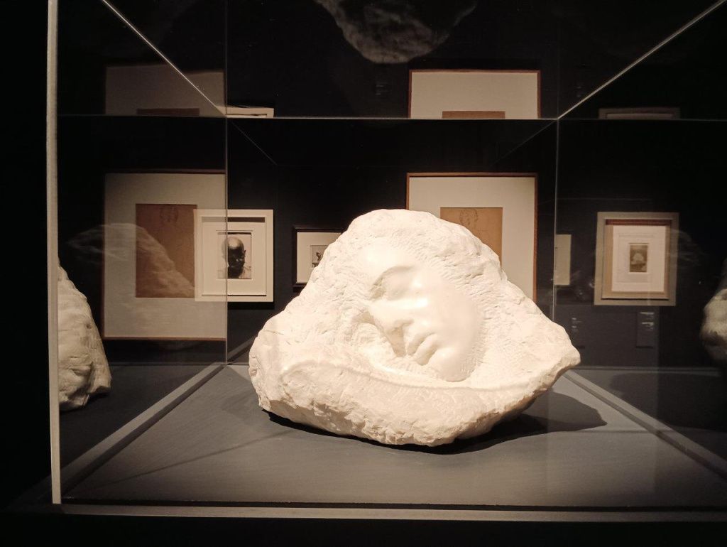 Expoziția Brâncuși de la Timișoara: capodoperele, în vizită în patria părintelui lor - Imagine 35