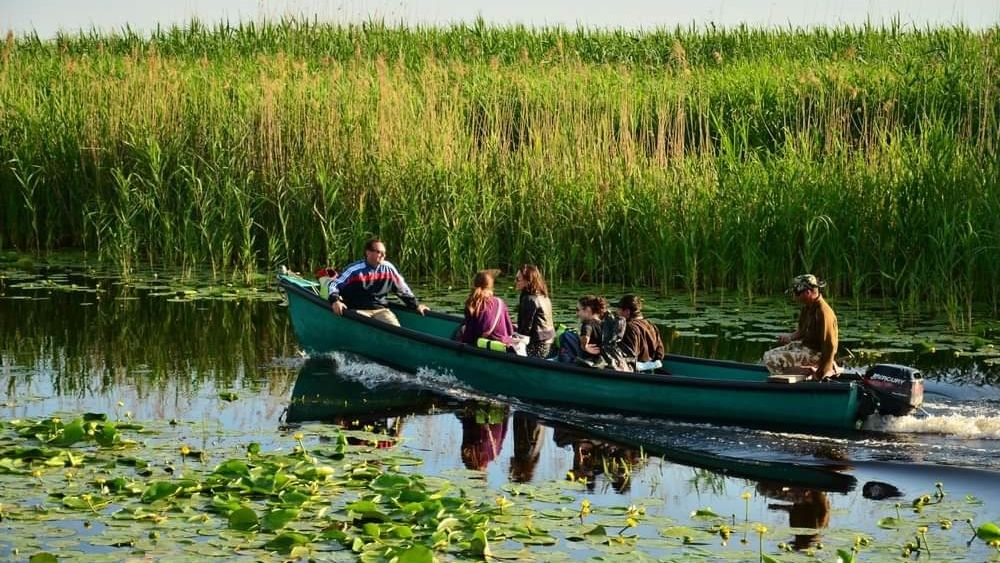 Activist de mediu, revoltat de gunoaiele lăsate în urmă de români: ONG-urile nu sunt gunoierii Deltei