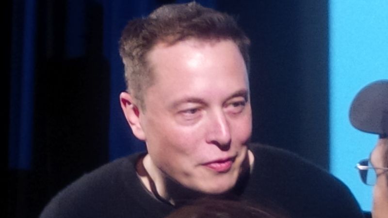 Elon Musk lucreaza la un sistem de conectare a creierului uman cu o interfata IT