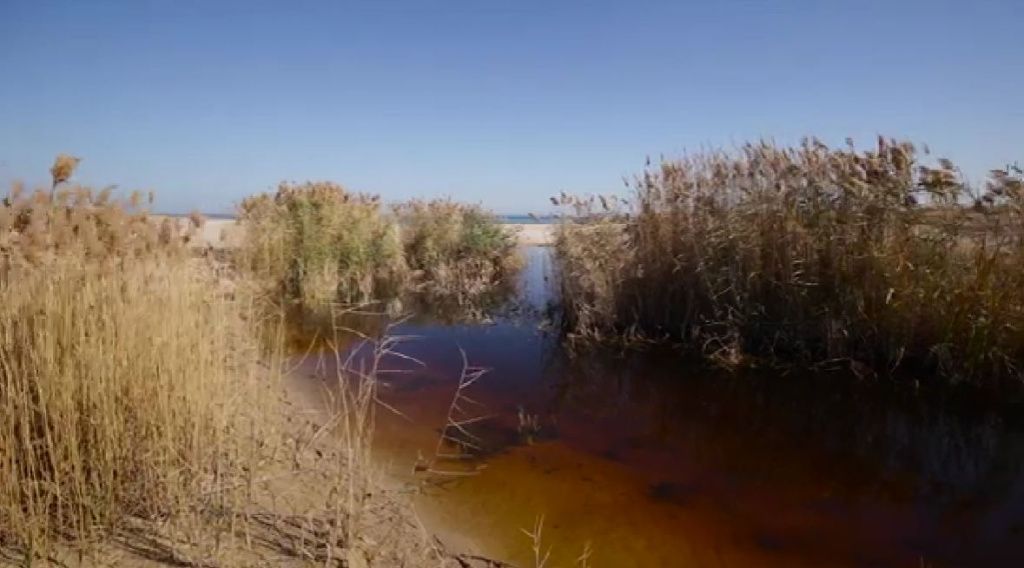 FOTO & VIDEO: Și bulgarii au Tuzla lor, la Marea Neagră, cu totul diferită de a noastră. E un pa - Imagine 2