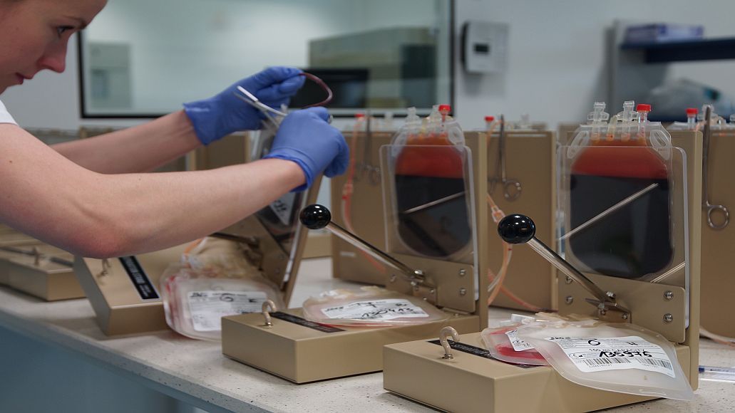 [FOTO] Cum arata si cum sunt stocate probele in cea mai mare banca de celule stem din Europa