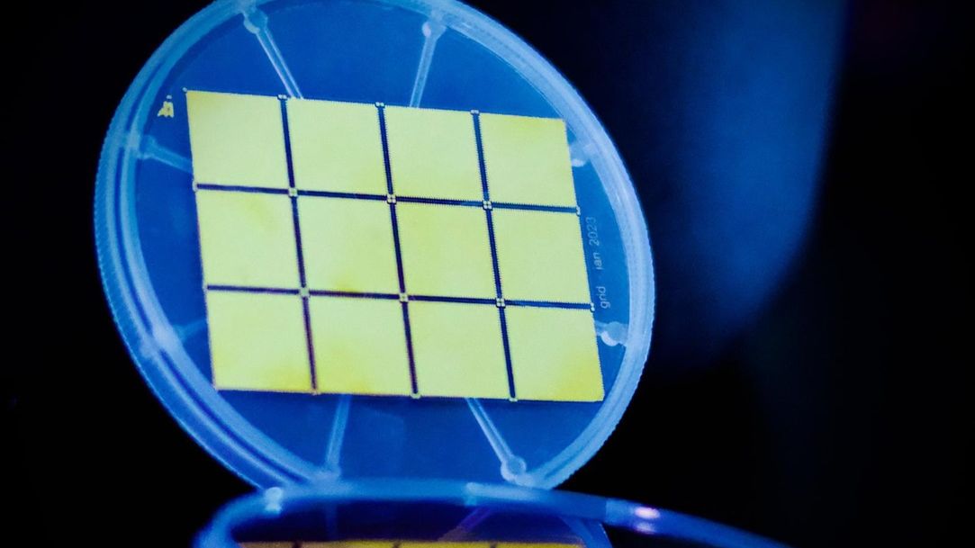 Afacerile viitorului: „Creierul artificial” dezvoltat în România. Cyber Swarm e în mijlocul unei noi runde de finanțare și are deja un client din industria auto