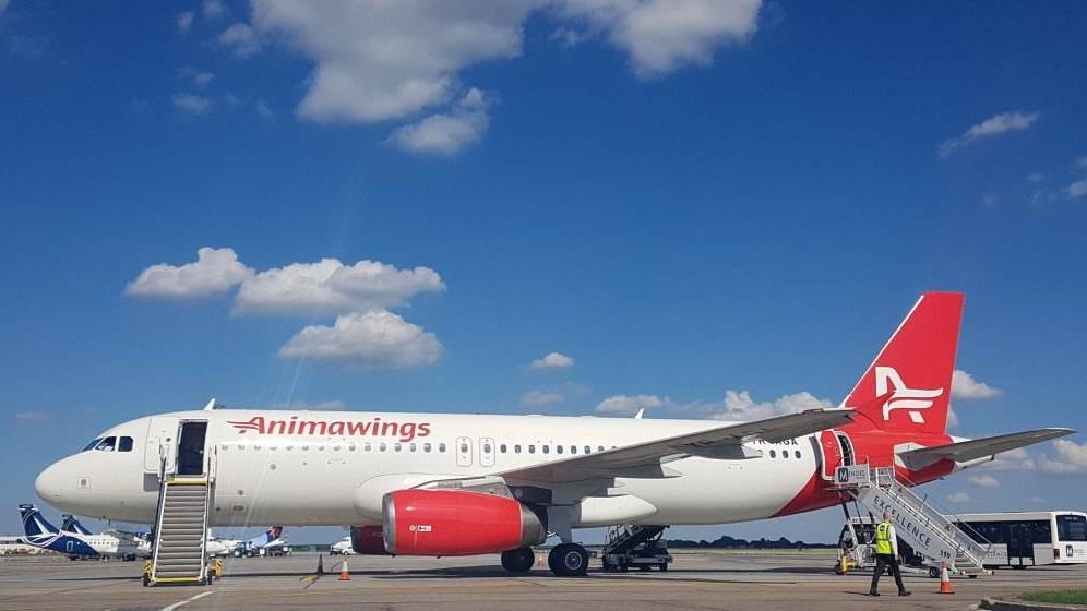 AnimaWings adaugă noi zboruri către Istanbul de pe mai multe aeroporturi din țară