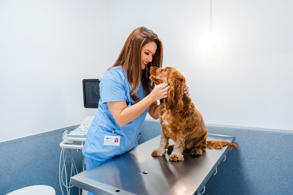 Un parc de retail face loc și serviciilor pentru animale, cu un spital veterinar non-stop