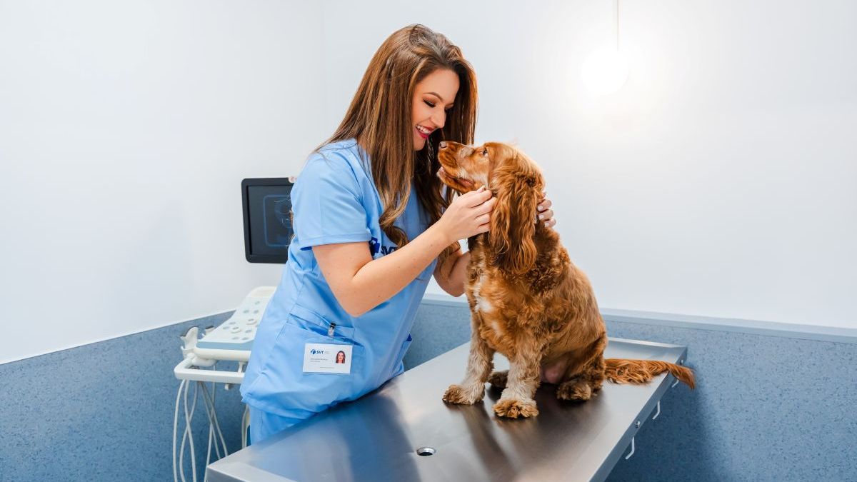 Un parc de retail face loc și serviciilor pentru animale, cu un spital veterinar non-stop