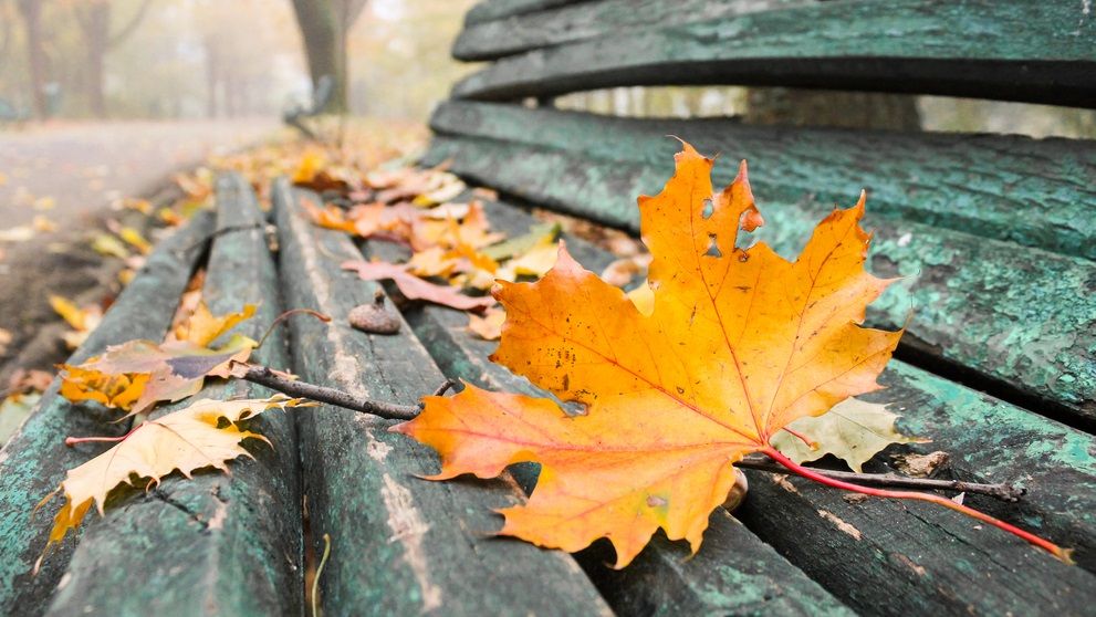 ANM anunță cum va arăta vremea în următoarele două săptămâni