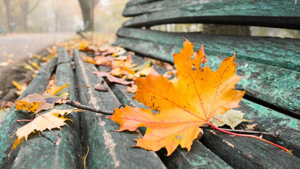 Vremea în următoarele săptămâni: toamnă blândă în România