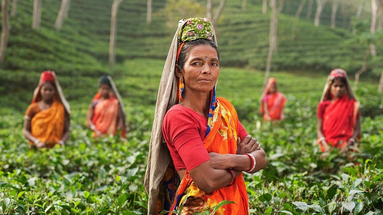Noi detalii despre boala misterioasă din India