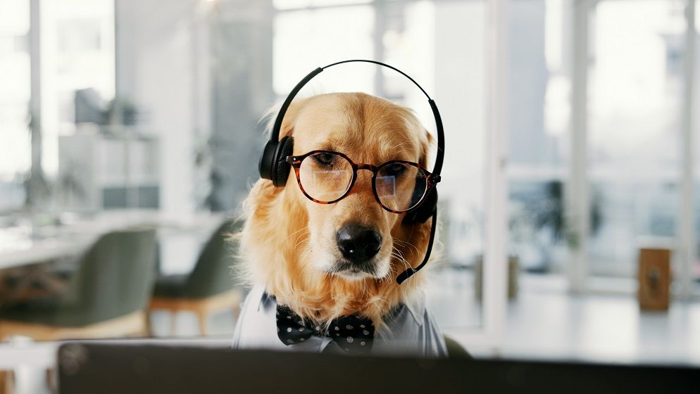 Începi un job nou? Ce greșeli să nu faci chiar în primele săptămâni