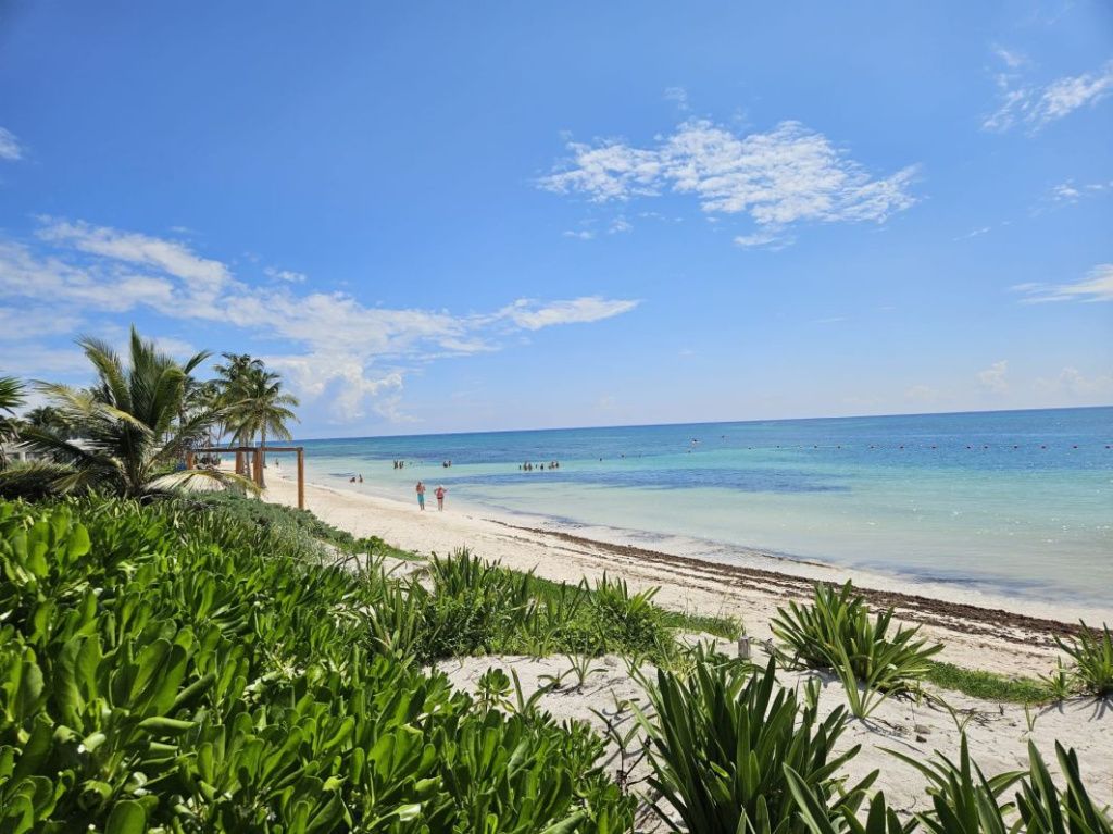 Mexic Peninsula Yucatan - Imagine 65