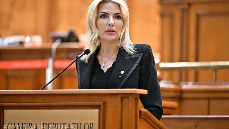 Laura Vicol, adusă în cătușe la Curtea de Apel